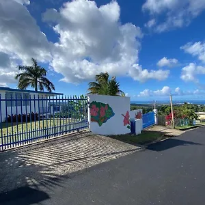 Million Dollar View In Puerto Rico Lodge